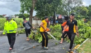Sigap Hadapi Puting Beliung, Polresta Banyuwangi Pastikan Jalan Kembali Normal