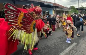 Ritual Barong Ider Bumi di Desa Kemiren Banyuwangi Penuh Makna Spiritual, Sejarah Panjang, dan Daya Tarik Wisata Budaya