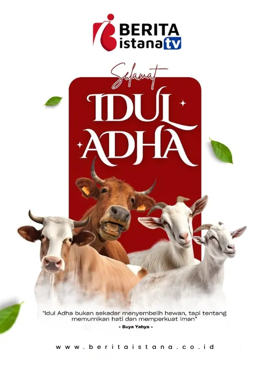 ads sidebar #1
